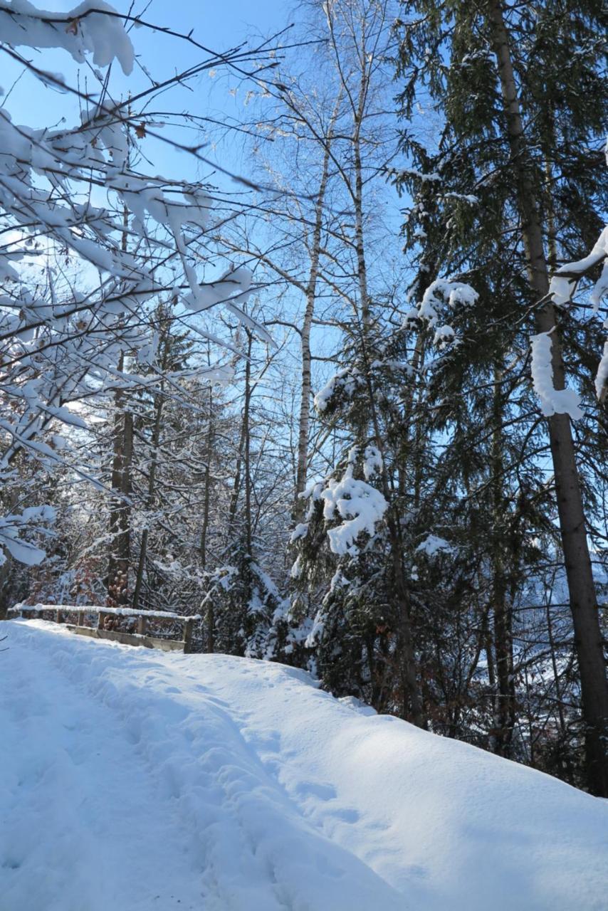 Апартаменти Haus Enzian Санкт-Йоганн-ім-Понгау Екстер'єр фото